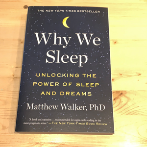 Why we sleep