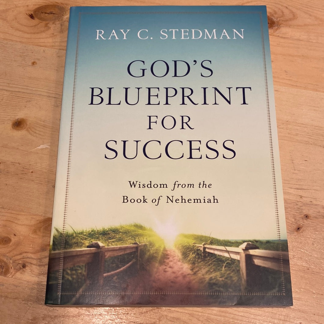 God’s Blueprint For Success Wisdom from the Book of Nehemiah - Used